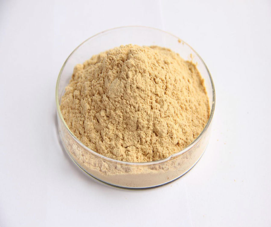 product-810-681 ??1.jpg