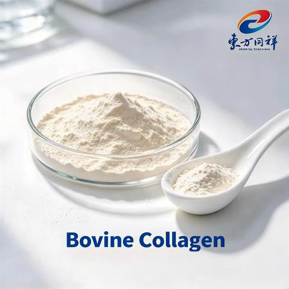 Bovine Collagen CAS 9007-34-5