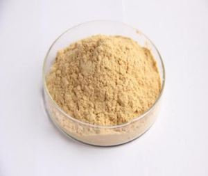 Organic Monk Fruit Extract V25%