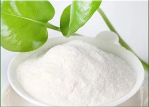 Dietary Fiber Polydextrose