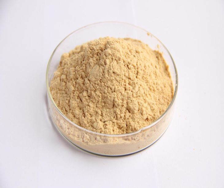 Pure Monk Fruit Extract 90% Mogrosides/30% Mogroside V