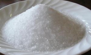 Sugar Free Organic Xylitol 30-80 Mesh for Toothpaste