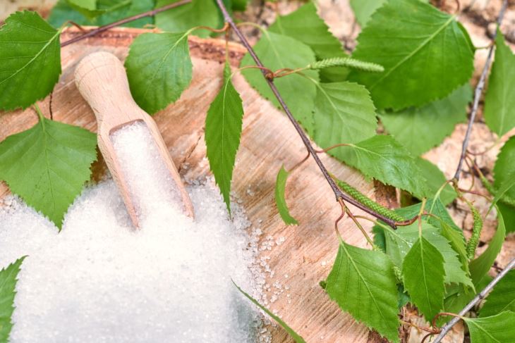 New Product Organic Xylitol/sugarless Sweetener/best Sugar Alternative