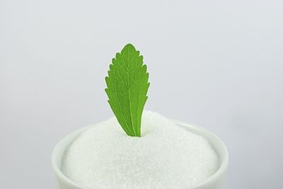 New Stevia Product Sugar Free Sweetener Stevia Leaves Extract RAD