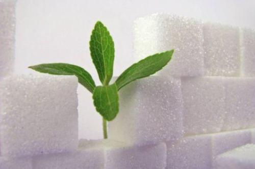 Natural Sweetness-- Stevia RA Series