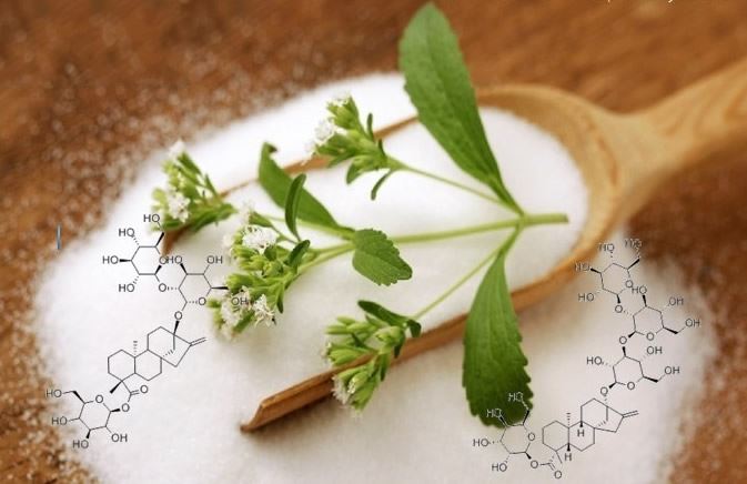 Sugar Free Sweetener Stevia Extract